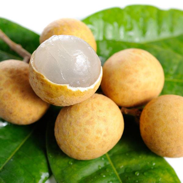 1.3 longan canned